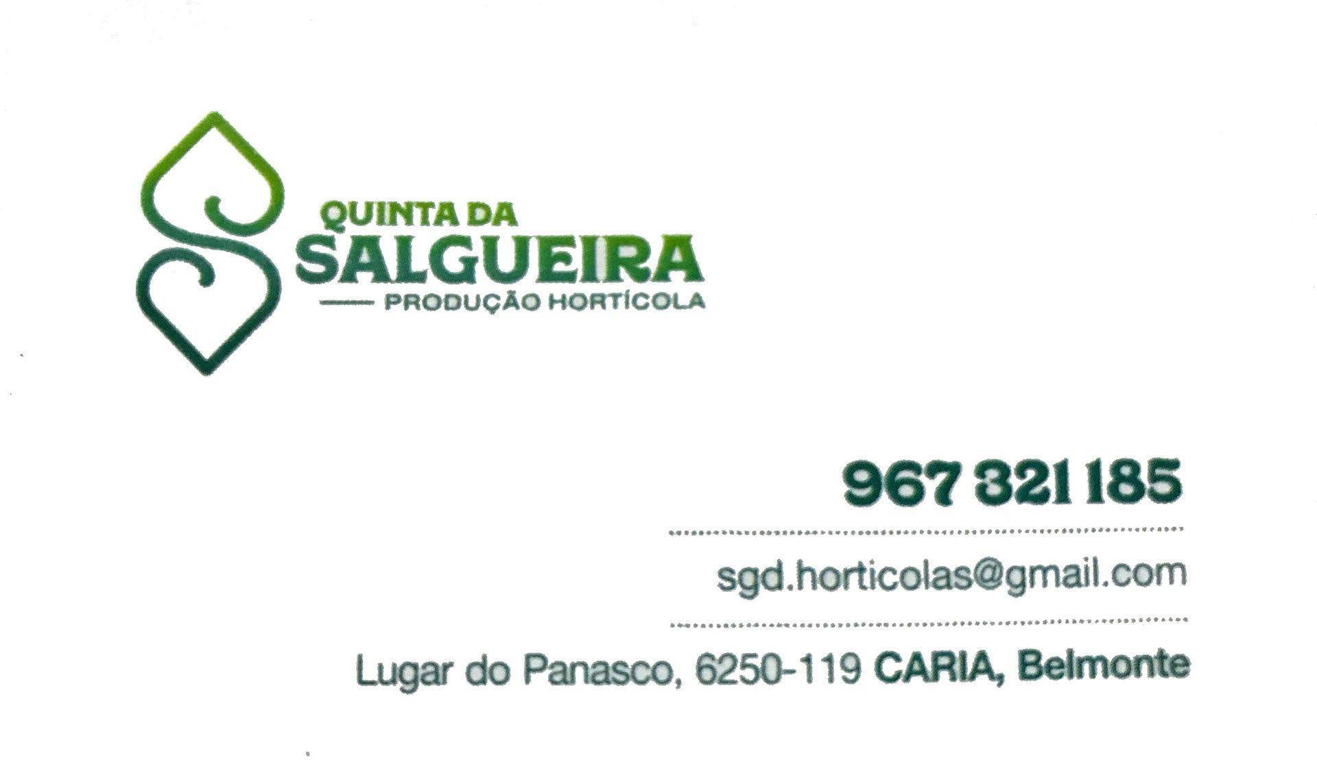 Quinta Da Salgueira - Produção Hortícola - Município De Belmonte