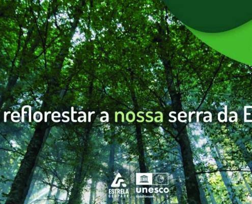 Reflorestar Noticia