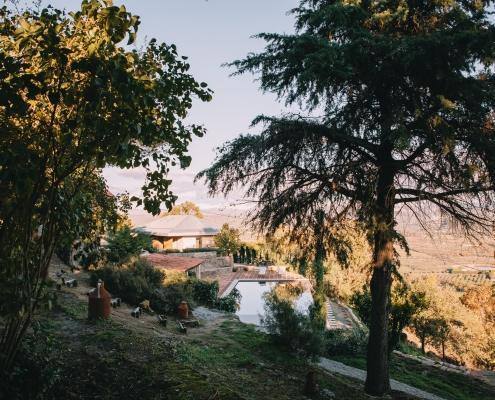 Thevagar Countryhouse Belmonte3