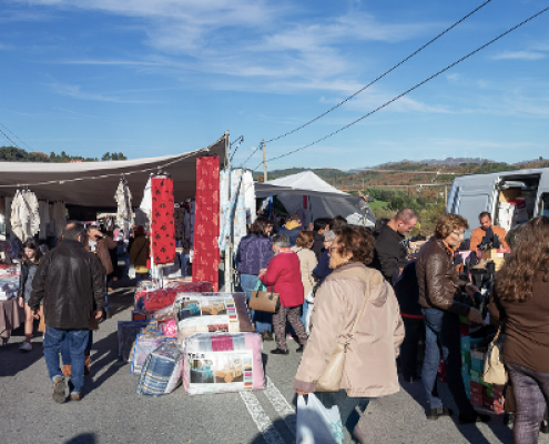 Feira Anual De 8 De Dezembro