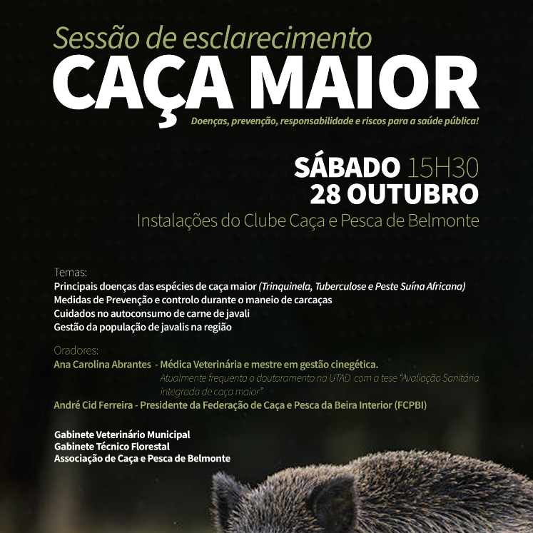 Design Sem Nome